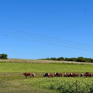 Venta Chacra 10 Hectareas, A Mts. De Ruta 90