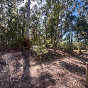 Terreno De Una Hectárea A Metros Del Río - Carmelo