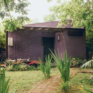 Casa 1 Dormitorio En Alquiler Santa Ana, Colonia.