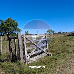 Oportunidad Chacra De 2 Hectáreas En Venta
