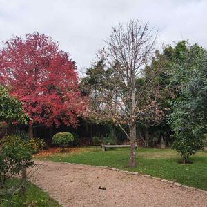 Venta Terreno Con Mejoras En San José De Carrasco