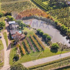 Venta Chacra En Melilla 4,7 Has Cno Los Pirinchos
