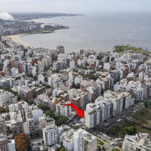 Alquiler De Local Comercial En Punta Carretas