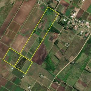 Venta De Chacra De 11 Hectáreas Zona Pajas Blancas