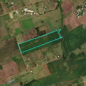 Venta Campo Toledo Chico Mvdeo. Oportunidad