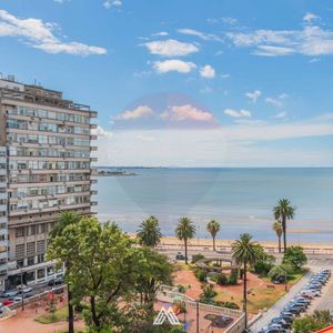 Alquiler Oficina O Consultorio Plaza Gomensoro