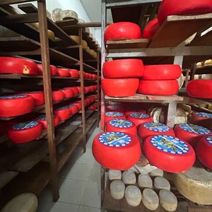 Venta De Llave Distribuidora De Quesos En Malvin