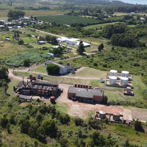 Venta Chacra Punta Yeguas 33 Has