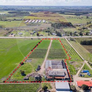 Venta Nave Logística Sobre Ruta 5 Canelones