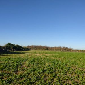 Ruta 75, Campo De Casi 6 Hás.