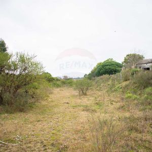 Venta De Importante Predio Logístico En Pando