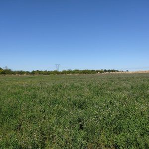 Venta Campo Casi 4 Hás, A 1 Cuadra De Ruta 75