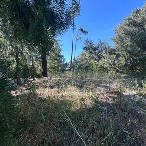 Venta De Terreno En Pinar Norte 600 Mts2