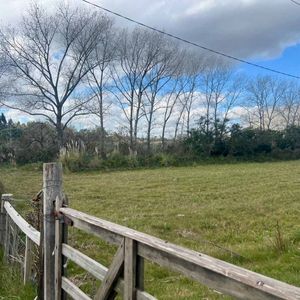 Campo Con Costa Al Arroyo Pando Y Dos Viviendas