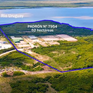 Venta Depósitos Y Gran Terreno Fray Bentos