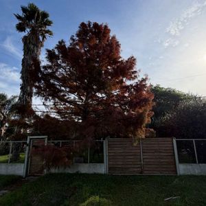 Vendo Casa 3 Dormitorios  Galpón  Barros Blancos