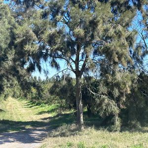 Venta De Campo Sobre Ruta 1 Kilometro 16