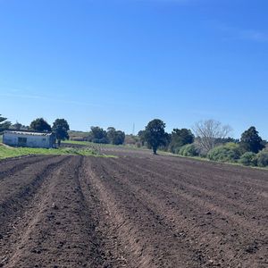 Venta De Chacra De 11 Hectáreas Montevideo Rural