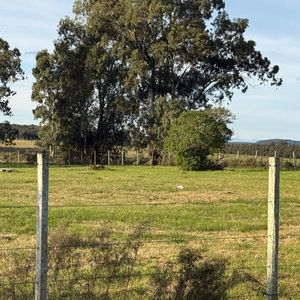 Terreno Venta De 7683 M2 Sobre Ruta 8 Lavalleja