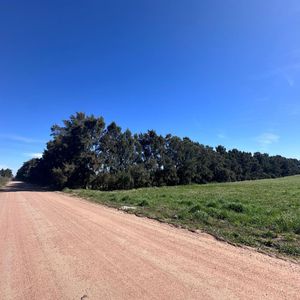 Venta De Campo De 2.82 Hectáreas Camino Garcés