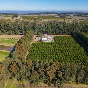 Venta De Chacra 20 Has En Punta Espinillo