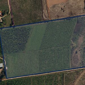 Venta Terreno Logístico Industria Bajo La Petisa