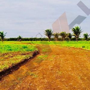 Hermosos Terrenos A Credito Directo En Insueños Del Norte