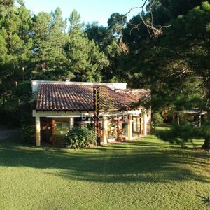 Solanas