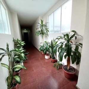 Alquiler Sobre Rivera Apto 2 Dormitorios Y Terraza