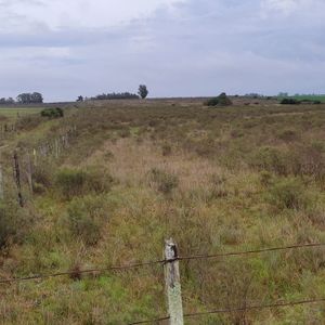 Campo San Jacinto 10 Hectareas C/ Tajamar (ruta 7 / Ruta 11) 