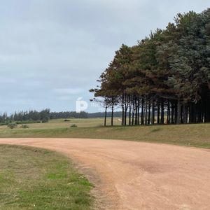 Las Garzas, Gran Lote Próximo Al Mar