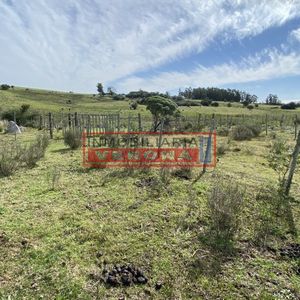 Oportunidad En Paraje Las Cañas !!!