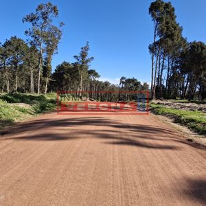 Lote En Pinares - Parque Burnett