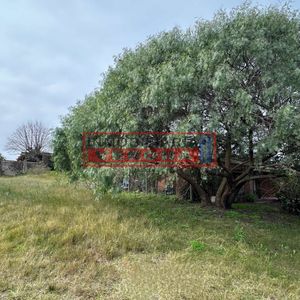 Se Vende Terreno En Punta Del Este
