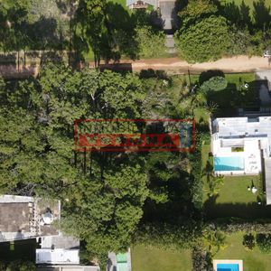 Nirvana Bosque