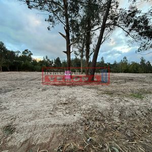 Gran Terreno  De 4400 M2 En Venta, Rincón Del Indio.