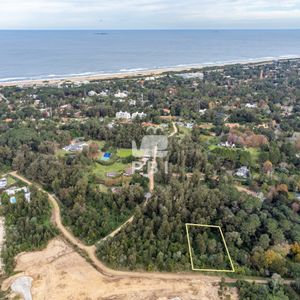 Lotes De 2.500 M² En El Golf, Punta Del Este — Naturaleza, Estilo  - Ref : Pbi13340