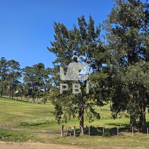 Terrenos En Venta Frente A Club De Golf De Punta Del Este - Ref : Pbi13973