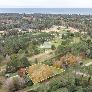 Lote En Venta Gran Oportunidad De Inversión - Ref : Pbi14603