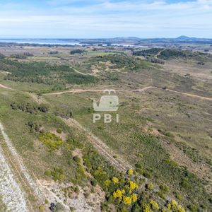 Chacra De 15,7 Has En Ruta 9, Abra De Perdomo - Ref : Pbi15107