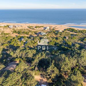 Terreno En Venta En Chihuahua, Punta Ballena - Ref : Pbi15110