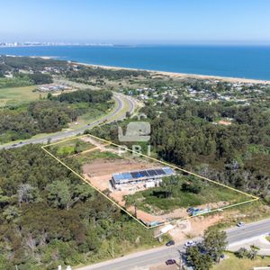 Apartamento Esquinero De 2 Dormitorios En Baleia, Lomo De La Ballena, Punta Ballena - Baleia - Ref : Pbi15644