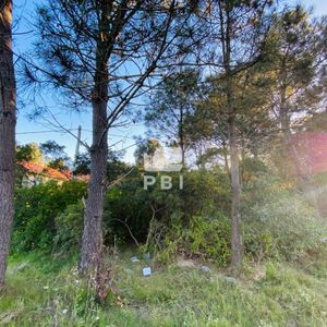 Lote En Tio Tom, Punta Ballena - Ref : Pbi2757