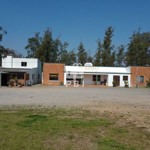Chacra De 1 Hectarea Con Casa Y Local Comercial Sobre Ruta 9 - Ref : Pbi3237