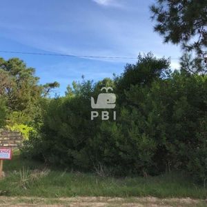 Terreno En Venta Tio Tom  - Ref : Pbi393