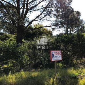 Terreno En Venta Tio Tom  - Ref : Pbi868
