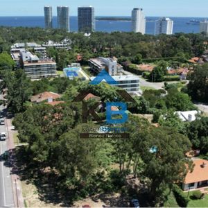 Playa Mansa Punta Del Este
