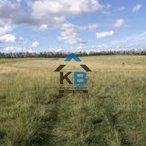 Campo En Paysandú,