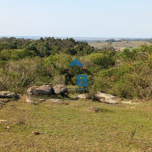 Campo En Castillos,