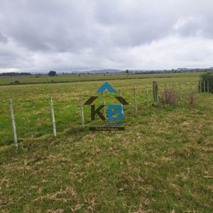 Campo Agrícola Ganadero
